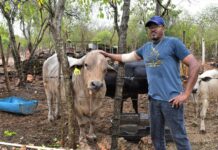Cayman Brac’s Paradise Farms keeps family tradition alive