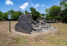 ‘Postcard from the past’: Archeological dig begins at historic Jackson’s Wall