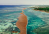 Three-mile offshore barrier proposed to fight sargassum invasion
