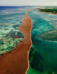 Three-mile offshore barrier proposed to fight sargassum invasion