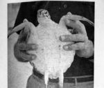50 years ago: kidnapped turtle rescued, ham radio paradise