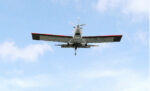 Recent rainfall brings increased mosquito menace