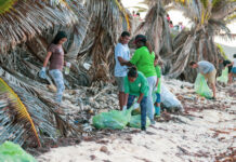 Video | The grand visit beach clean