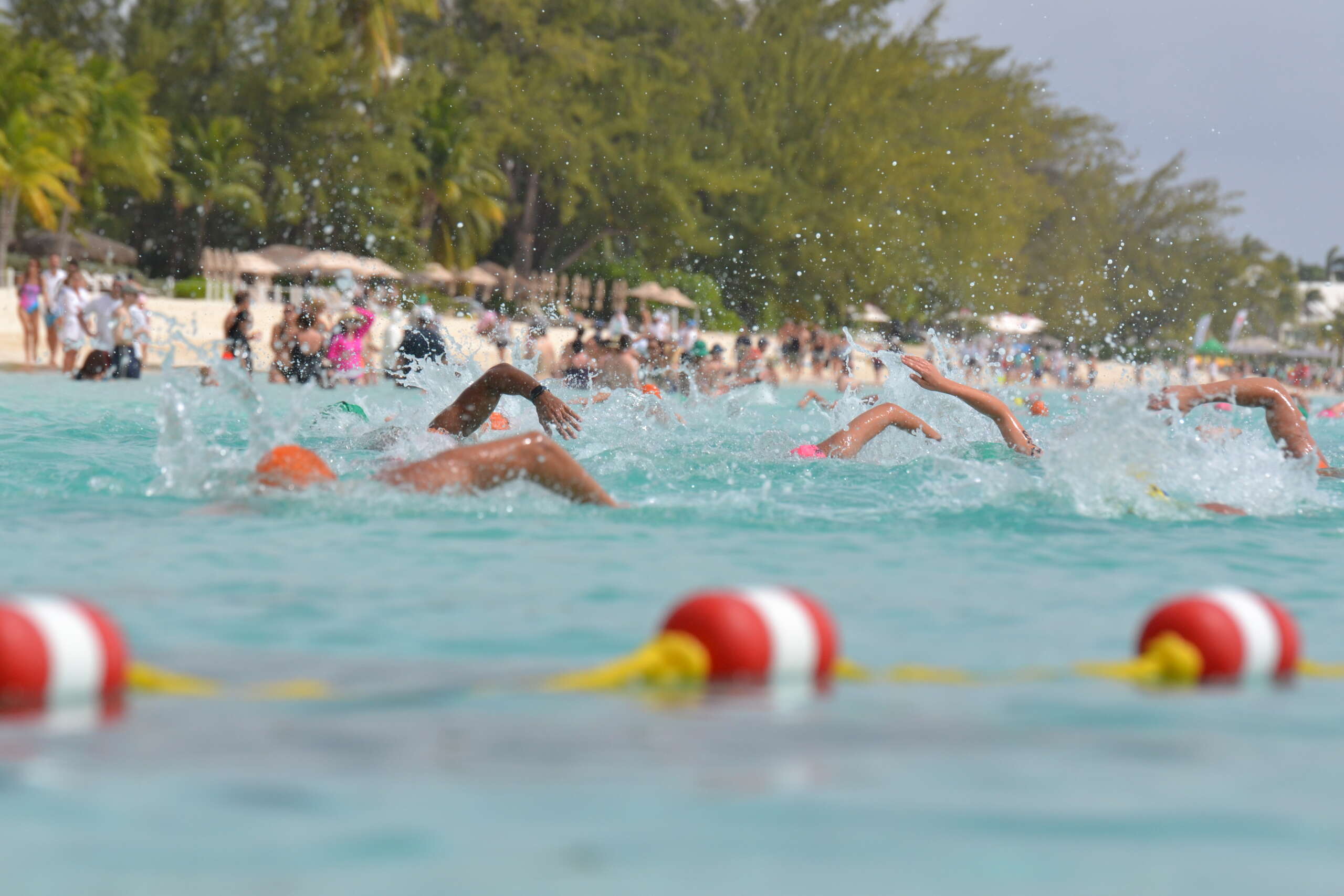 31st annual Flowers Sea Swim elite athletes Cayman Compass
