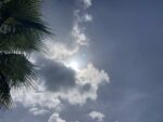High humidity causes temperature to feel like 105°F