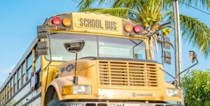 bus