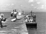 New book tells of heroism and hardship on the high seas