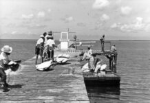New book tells of heroism and hardship on the high seas