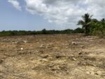 Work to begin on new Bodden Town public park