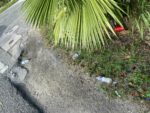 Carnival: After the glitter comes the litter