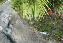 Carnival: After the glitter comes the litter