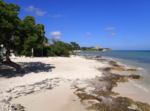 Environment director says no to more seawalls