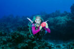 Dive in to help Breast Cancer Foundation
