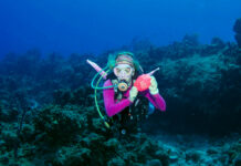 Dive in to help Breast Cancer Foundation