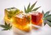 MP, barrister back top lawyer on changes to ganja laws