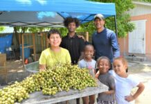Kids learn responsibility one guinep at a time