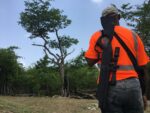 Natural born culler: Iguana hunter racks up kills