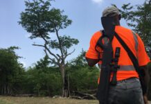 Natural born culler: Iguana hunter racks up kills