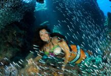 A mermaid’s tale
