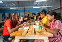 School meals programme cut by $3 million