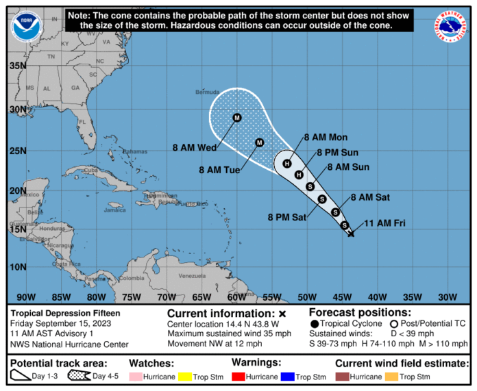 TD 15