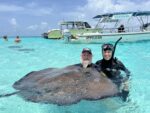 Census shows stingrays back in force at Sandbar