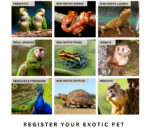 Exotic-pet owners urged to register animals