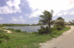 Brac residents object to pond-side gas station
