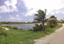 Brac residents object to pond-side gas station