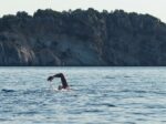 Oly Rush powers through another sea swim