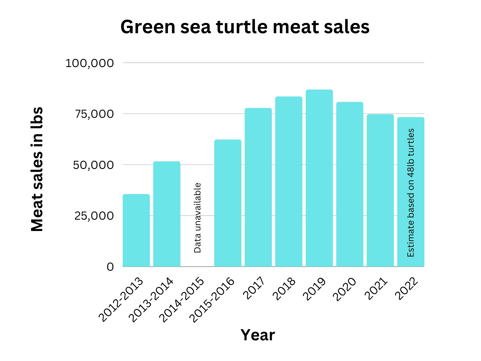 Sales of green sea turtle meat in decline Cayman Compass