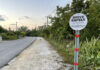 Law change in memory of Shemaiah Grant means criminal drivers might be charged child support