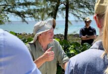 World-renowned rock specialist brings expertise to Cayman