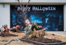 Cayman celebrates spooky Halloween events
