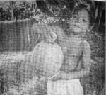 50 years ago: First Japanese bank; Dax Foster hauls breadfruit