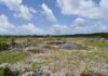 National Trust buys ‘pristine’ 14.4 acres in Little Cayman