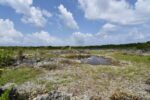 National Trust buys ‘pristine’ 14.4 acres in Little Cayman