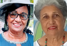 Older Persons Month ambassadors named
