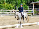 Winners crowned at national and regional dressage