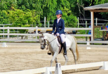Winners crowned at national and regional dressage