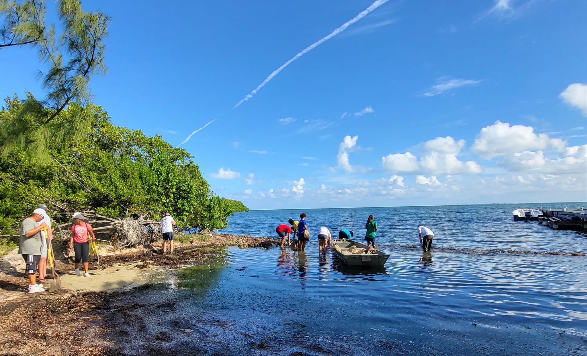 Driver backs into mangrove pilot project site Cayman Compass