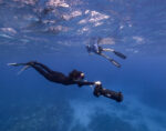 Superstar DJ Steve Aoki goes freediving and e-foiling in Cayman
