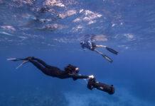 Superstar DJ Steve Aoki goes freediving and e-foiling in Cayman