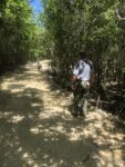 Botanic Park installs permanent survey plots for conservation with UK Overseas Territories’ funding