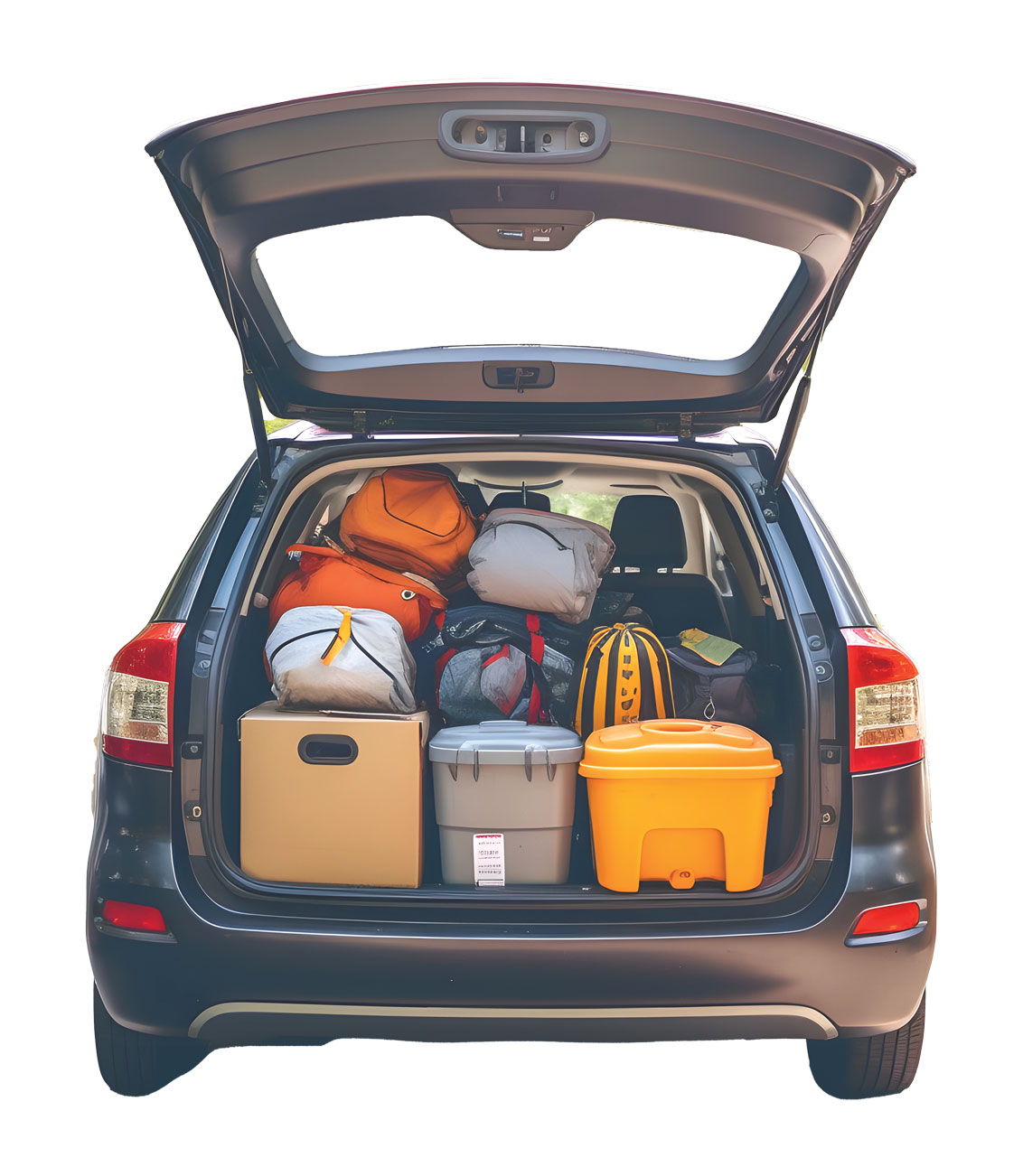 Trunk Sale Vendor Registration Fee Cayman Compass