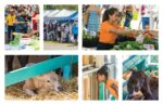 Agriculture Show
