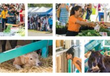 Agriculture Show