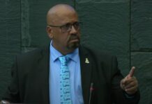 Former sports minister takes aim at football association