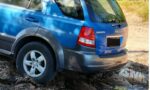 Driver backs into mangrove pilot project site