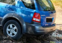 Driver backs into mangrove pilot project site